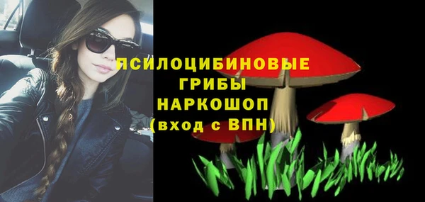 прущие крисы Алзамай