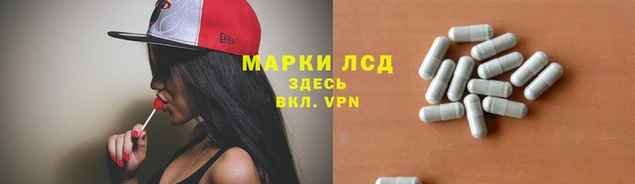 прущие крисы Алзамай