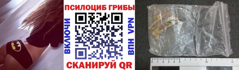 Галлюциногенные грибы Cubensis  Шацк 