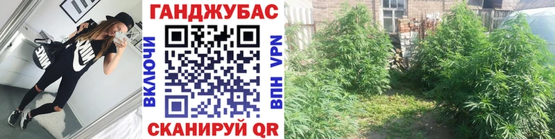наркота  Шацк  Каннабис гибрид 